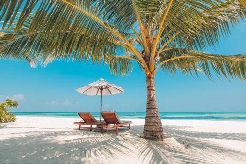 Gorgeous Beachy Chic Condo In Key Biscayne Miami Eksteriør bilde